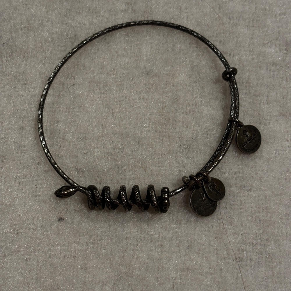 Alex and ani bangle bracelet